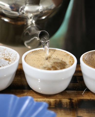 Coffee Almanac Collection